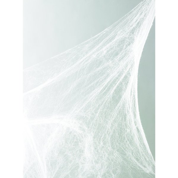 Fun World Spider Web Halloween Decor 391ACE